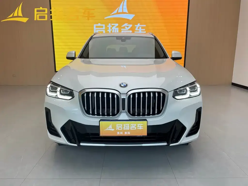 BMW X3 2024 из CN, фото 4