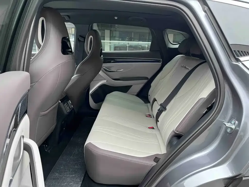 BYD PLUS New Energy 2025 из CN, фото 2