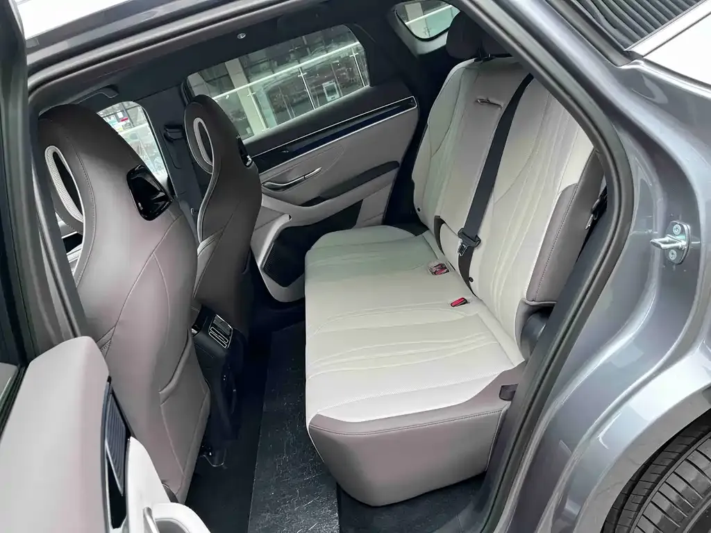 BYD PLUS New Energy 2025 из CN, фото 4