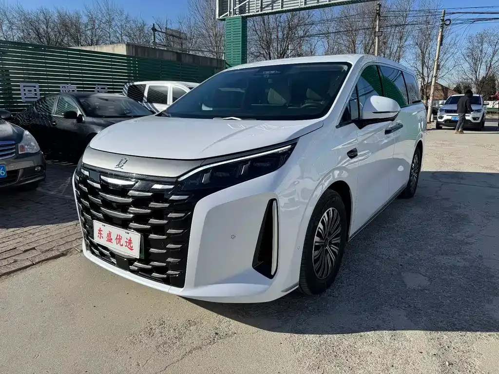 BYD Xia 2025 из CN, фото 1