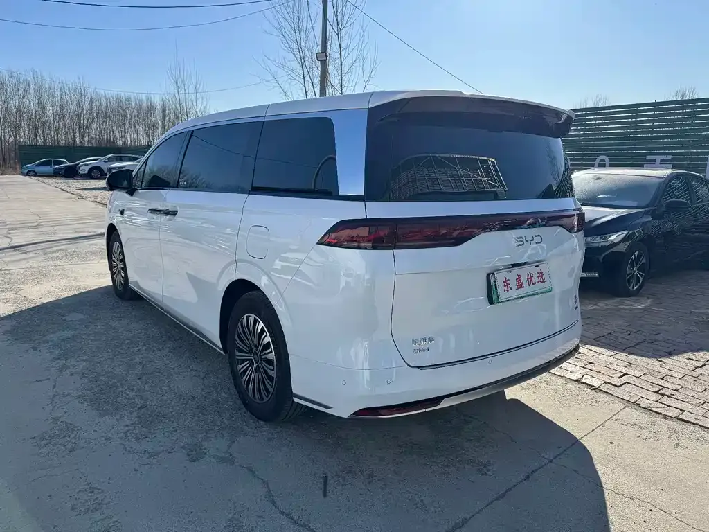 BYD Xia 2025 из CN, фото 2