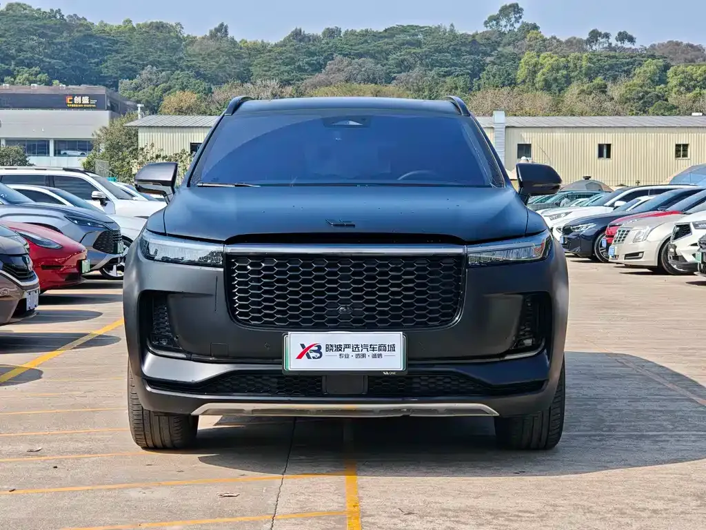 Li Auto ONE 2022 из CN, фото 9