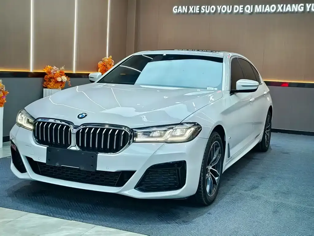 BMW 5 Series — фото 1