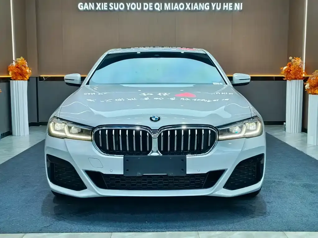 BMW 5 Series — фото 5