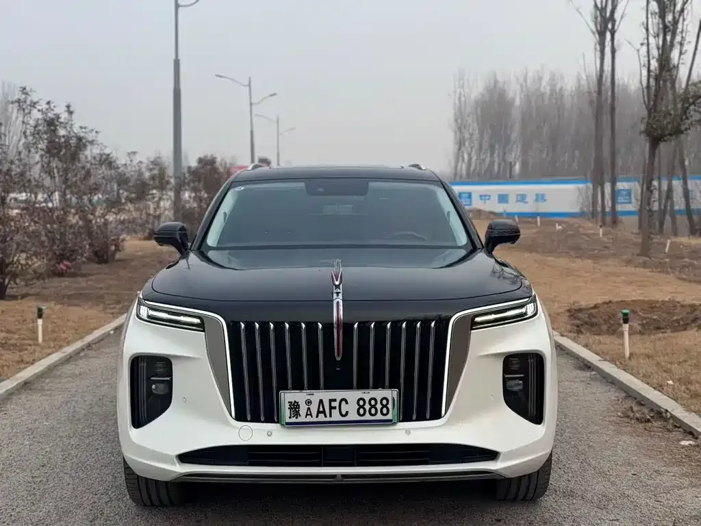 Hongqi E-HS9 — фото 3