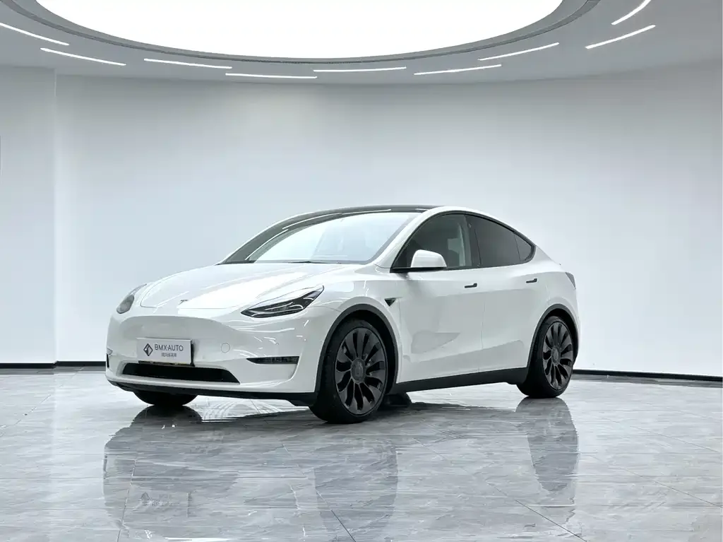 Tesla Model Y 2022 из CN, фото 1