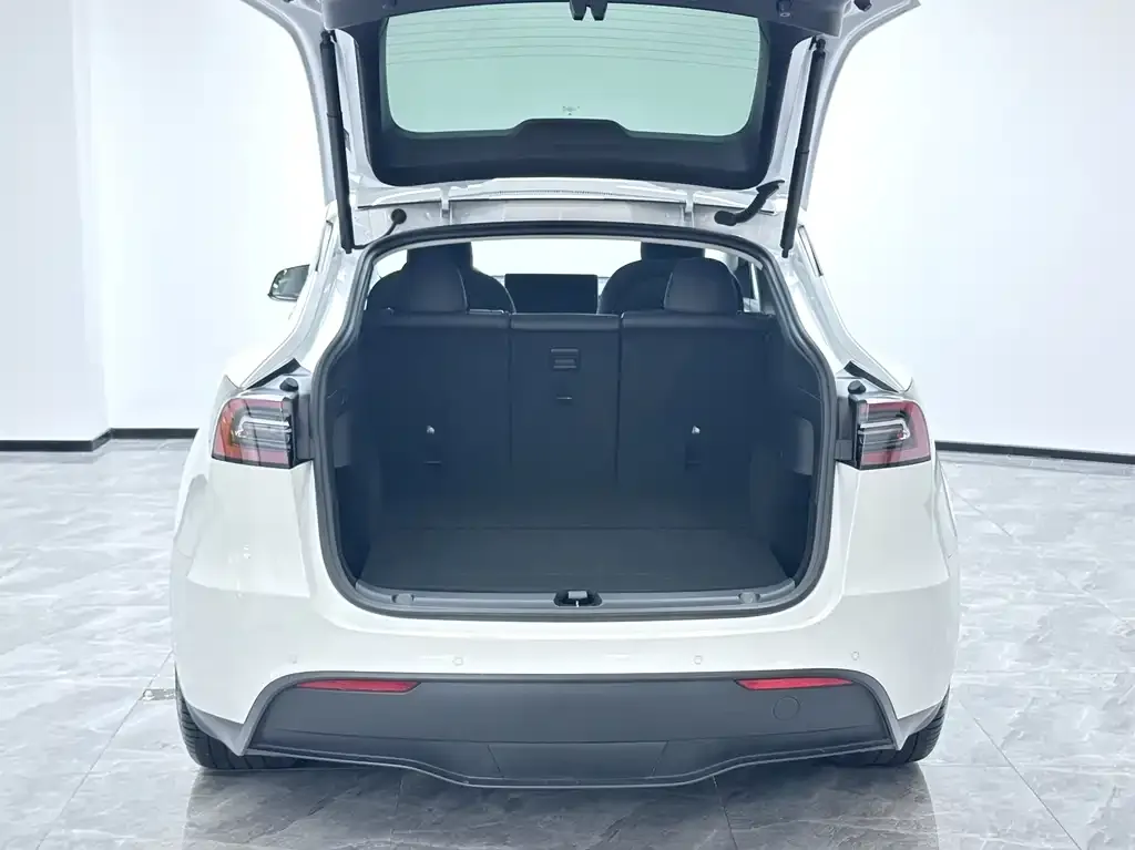 Tesla Model Y 2022 из CN, фото 4