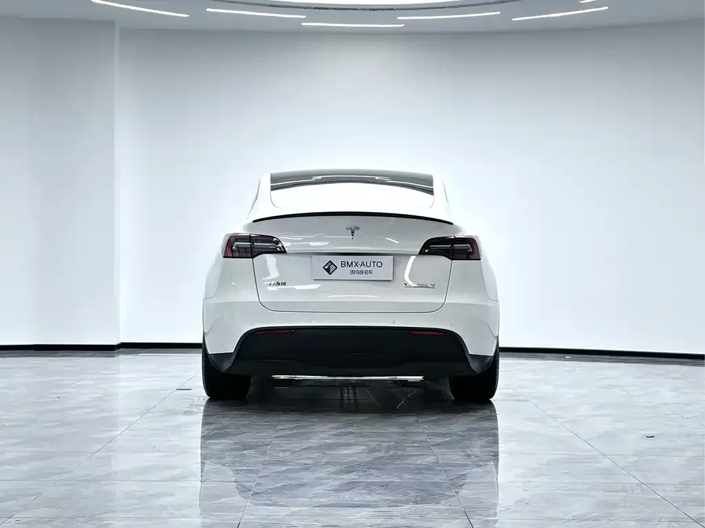 Tesla Model Y 2022 из CN, фото 3