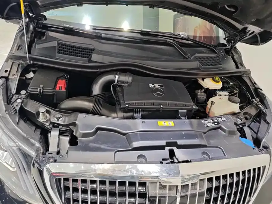 Mercedes-Benz Vito 2021 из CN, фото 5