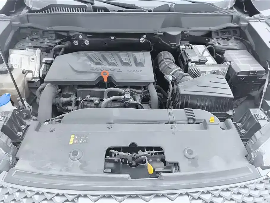 Haval H6 2023 из CN, фото 6