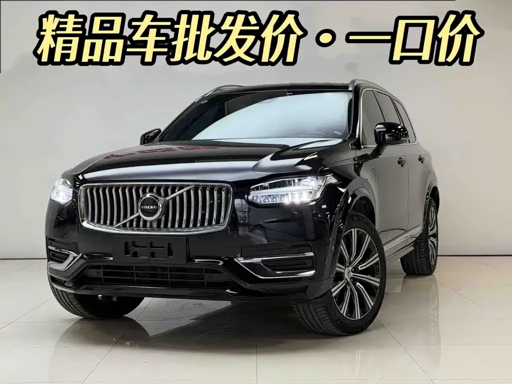 Volvo XC90 — фото 10