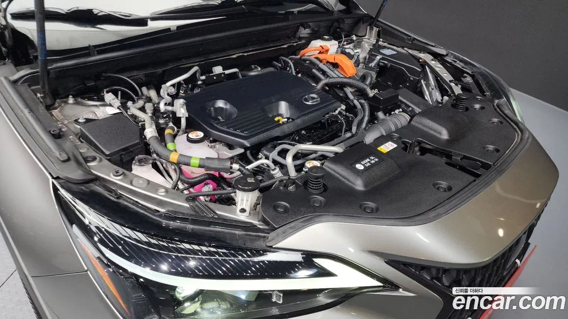 Lexus NX 2024 из KR, фото 5