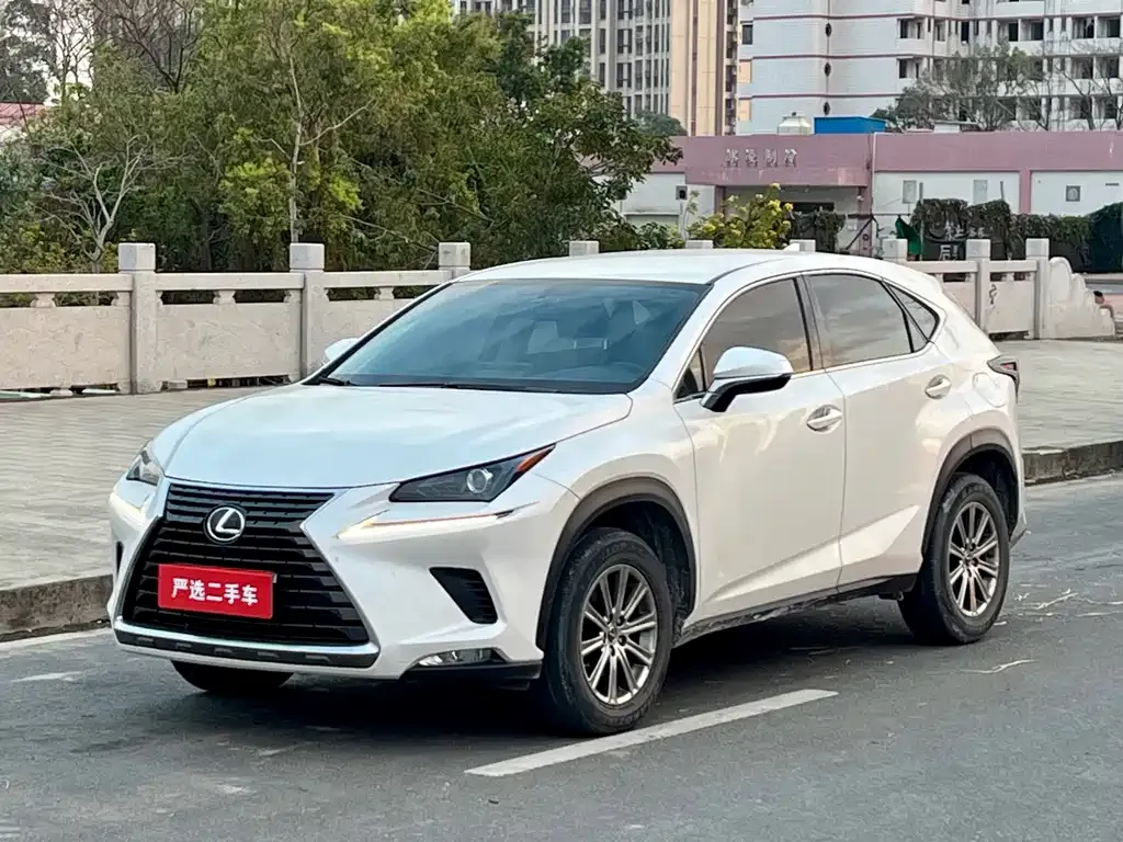 Lexus NX 2021 из CN, фото 9