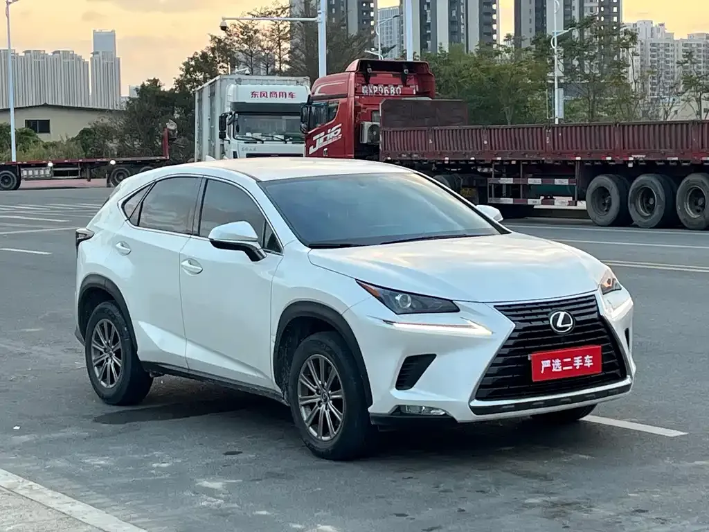 Lexus NX 2021 из CN, фото 8