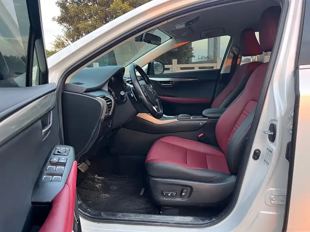 Lexus NX 2021 из CN, фото 10