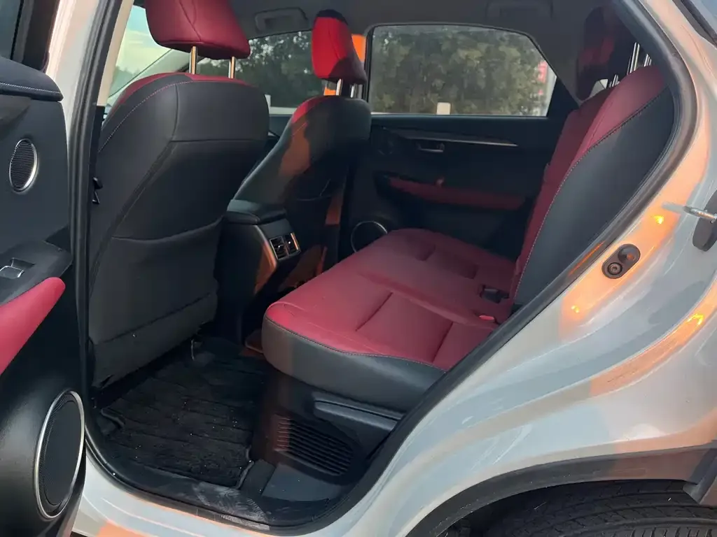 Lexus NX 2021 из CN, фото 6