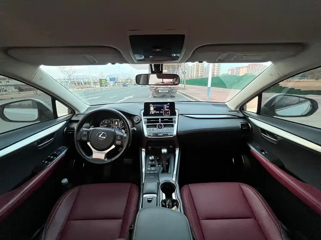 Lexus NX 2021 из CN, фото 5