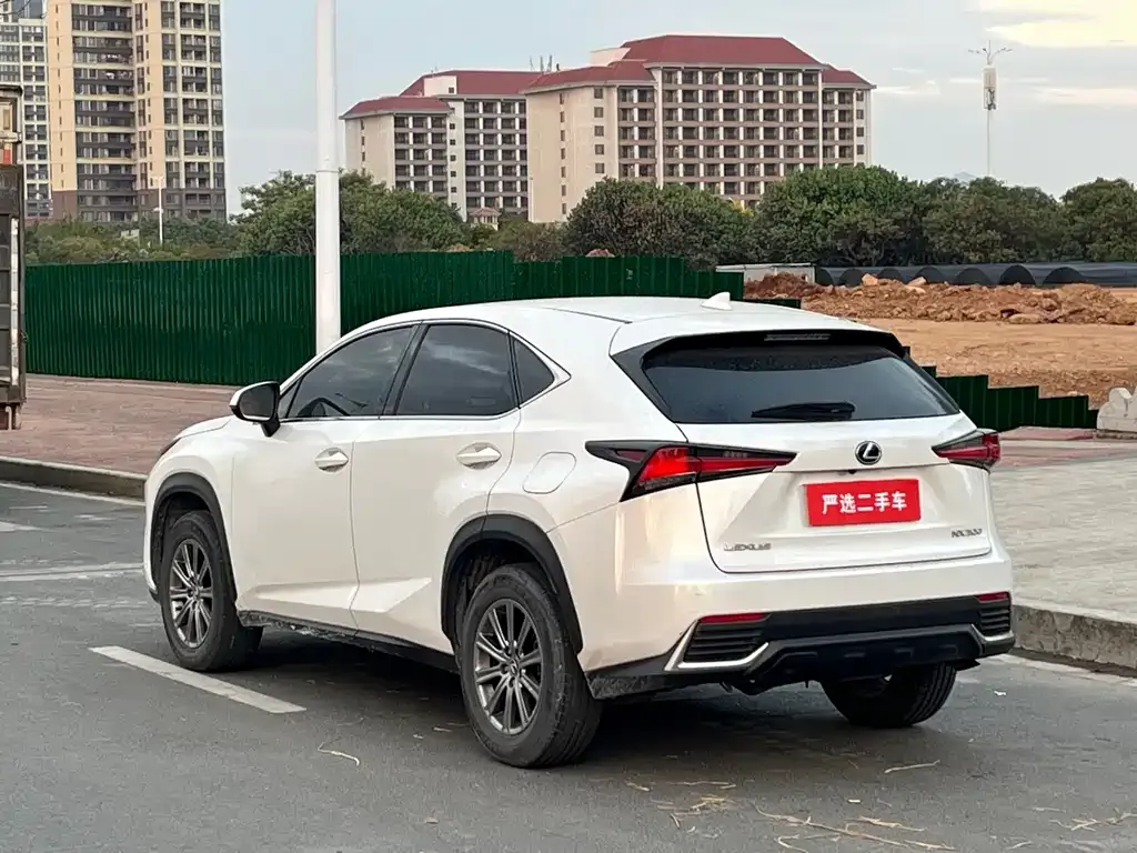 Lexus NX 2021 из CN, фото 3