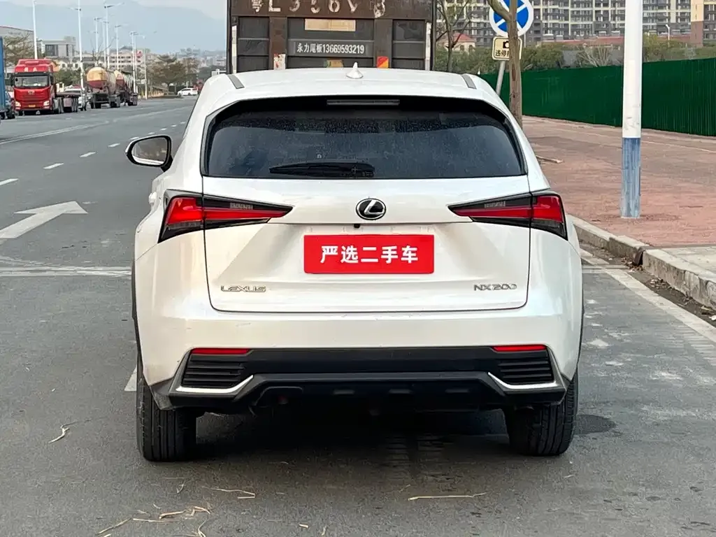 Lexus NX 2021 из CN, фото 2