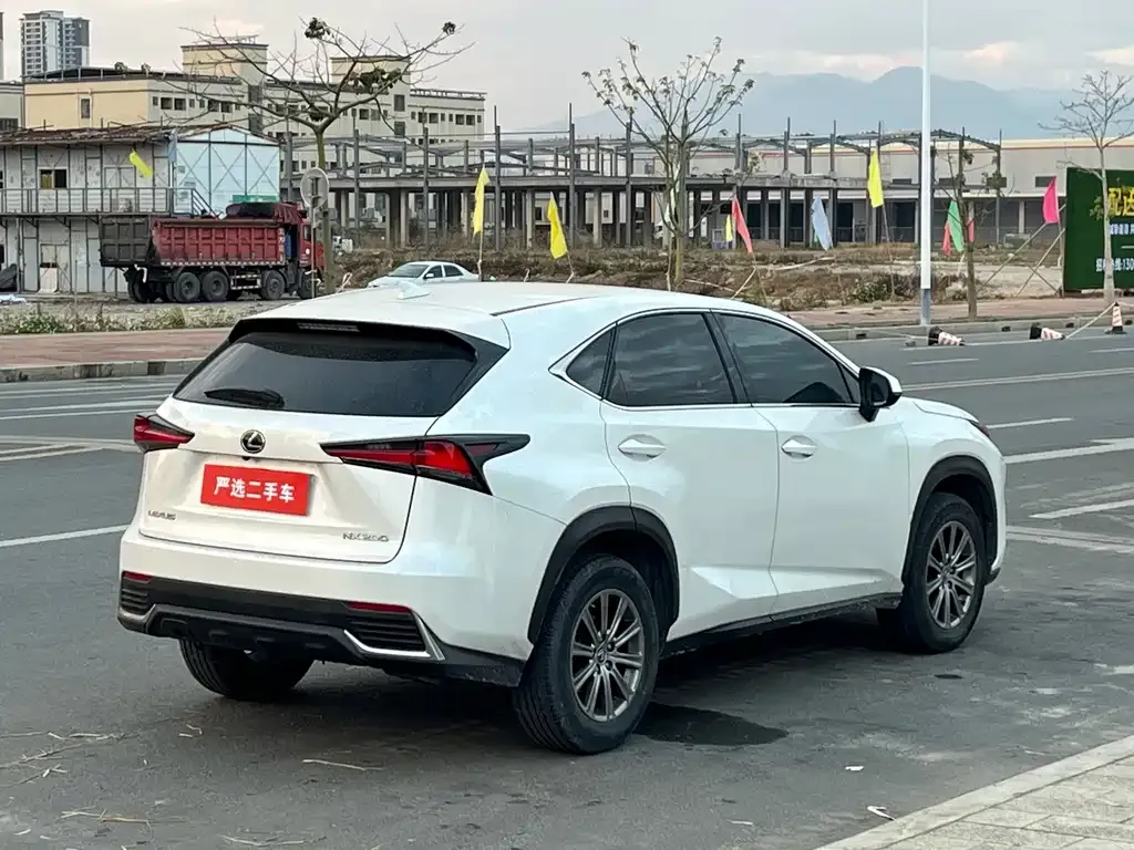 Lexus NX 2021 из CN, фото 7