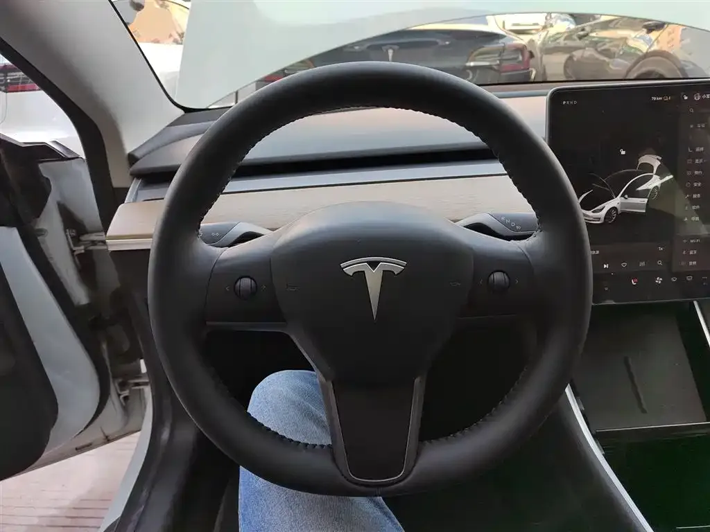 Tesla Model 3 2021 из CN, фото 4