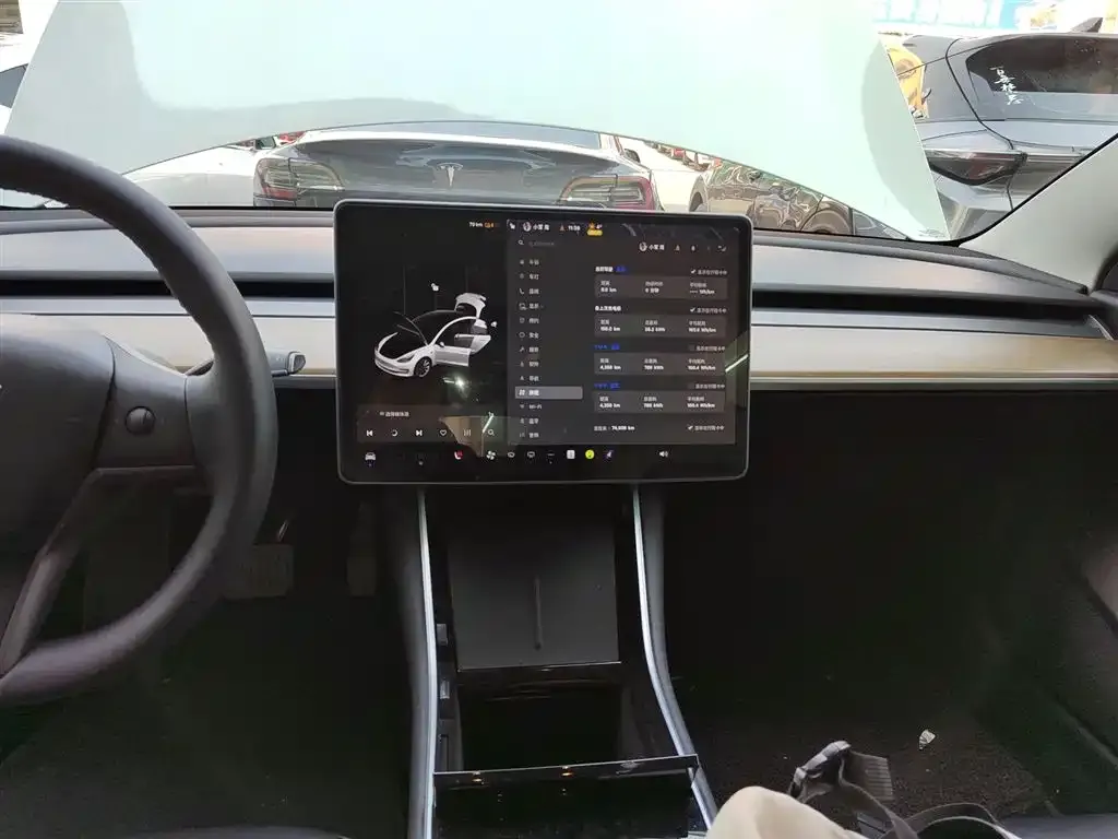 Tesla Model 3 2021 из CN, фото 3