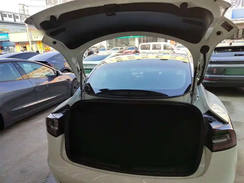 Tesla Model 3 2021 из CN, фото 10