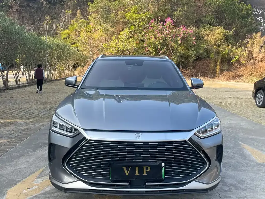BYD PLUS New Energy 2022 из CN, фото 10