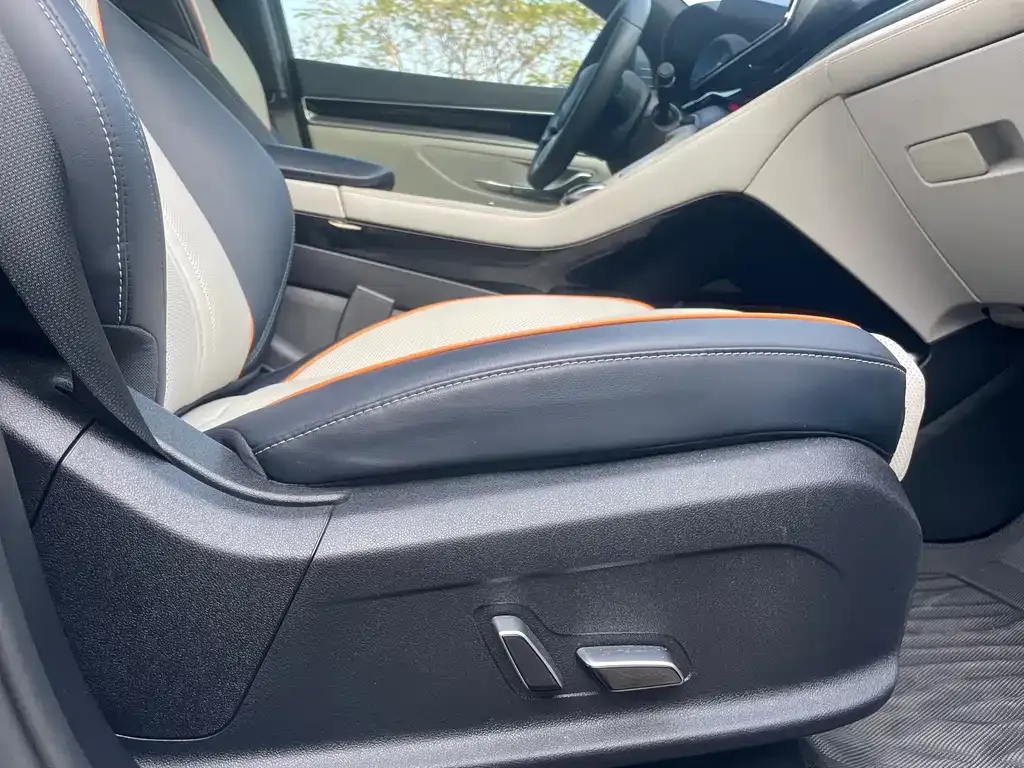 BYD PLUS New Energy 2022 из CN, фото 8