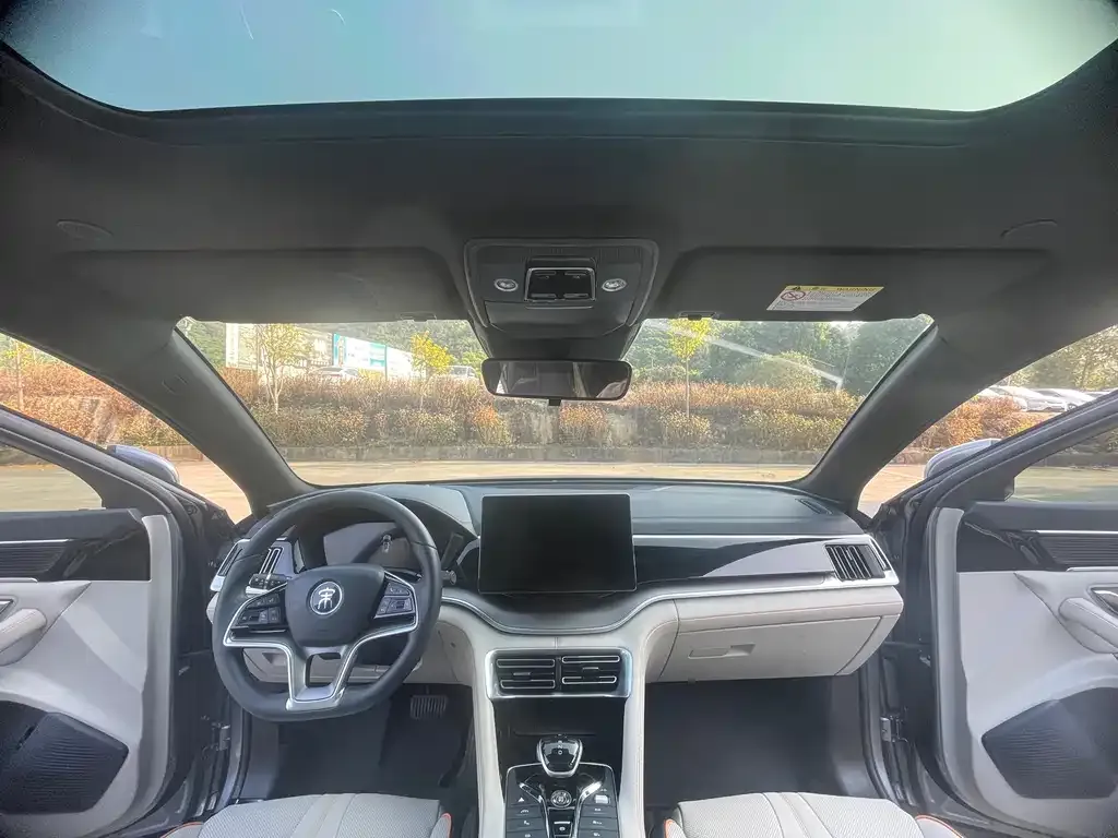 BYD PLUS New Energy 2022 из CN, фото 3