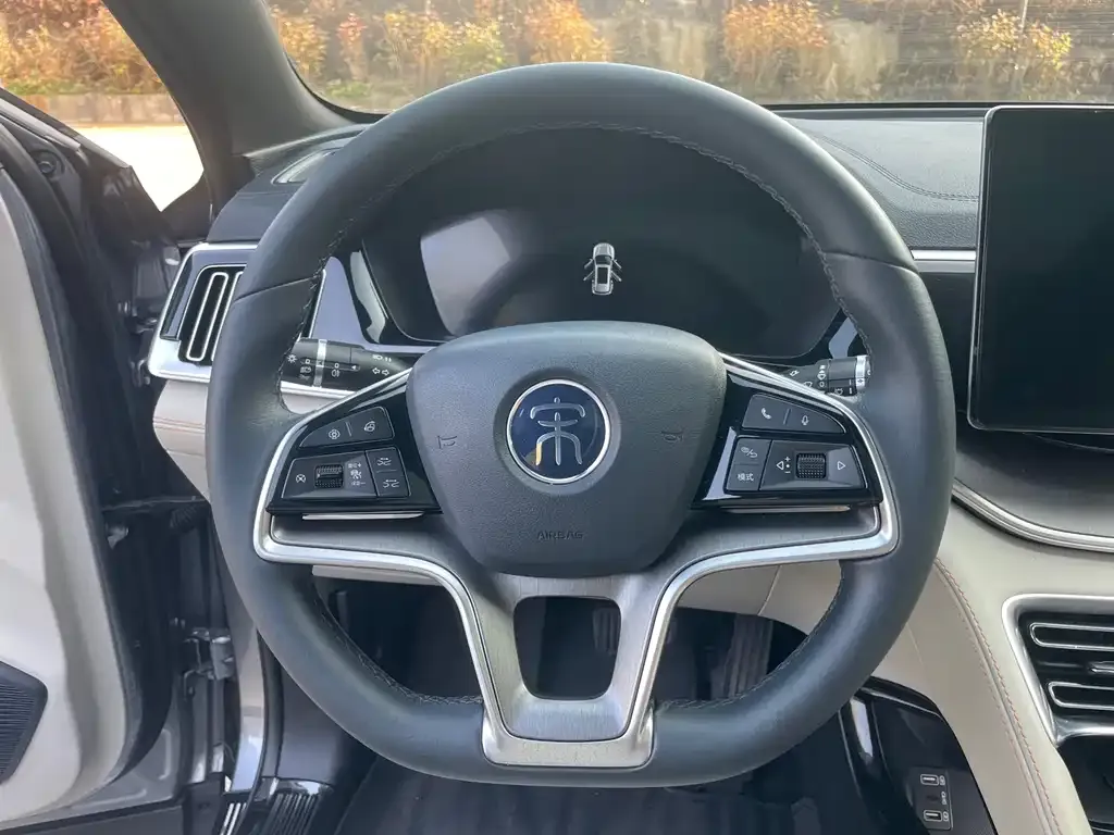 BYD PLUS New Energy 2022 из CN, фото 2