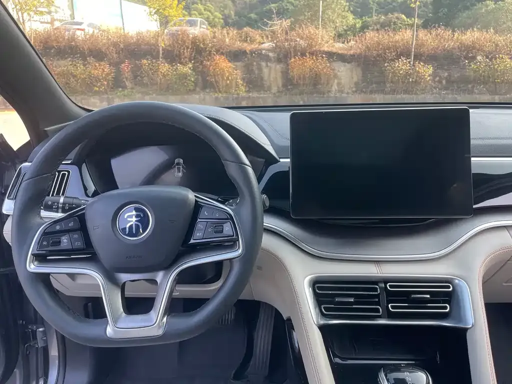BYD PLUS New Energy 2022 из CN, фото 5