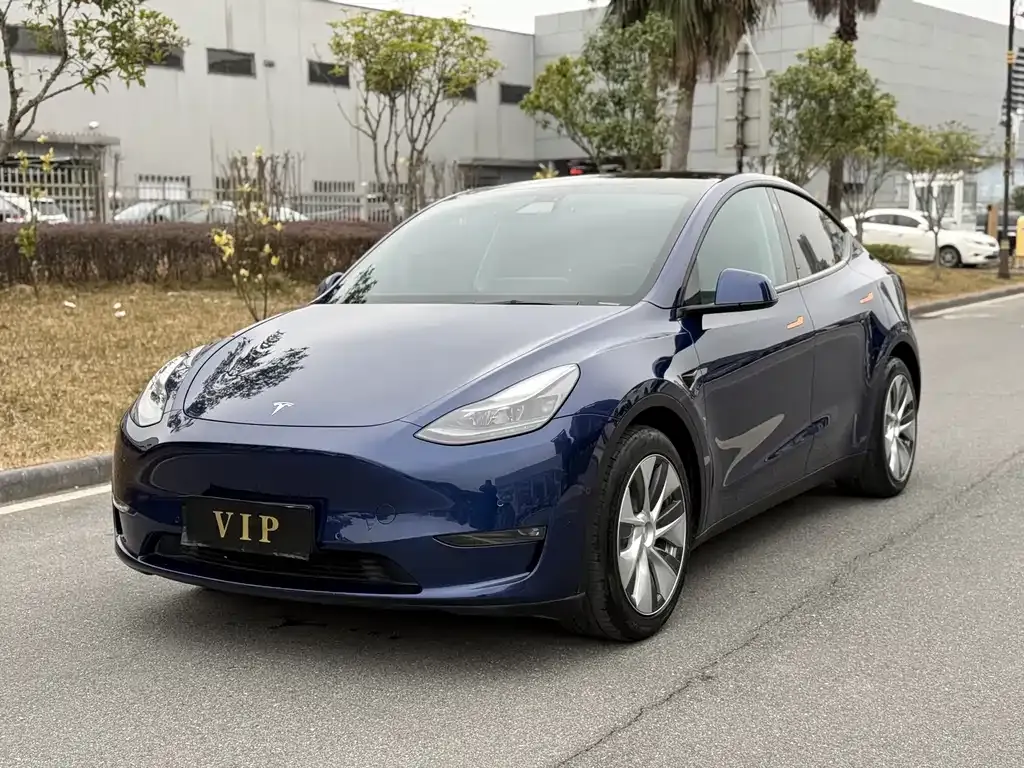 Tesla Model Y — фото 1