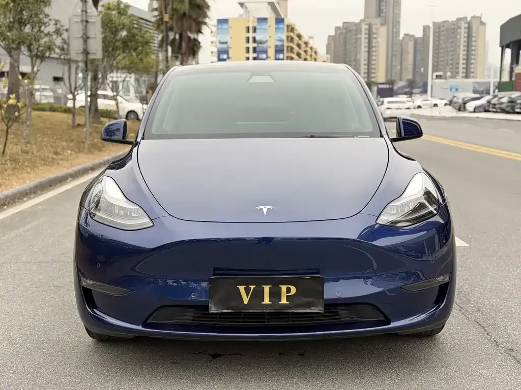 Tesla Model Y — фото 2