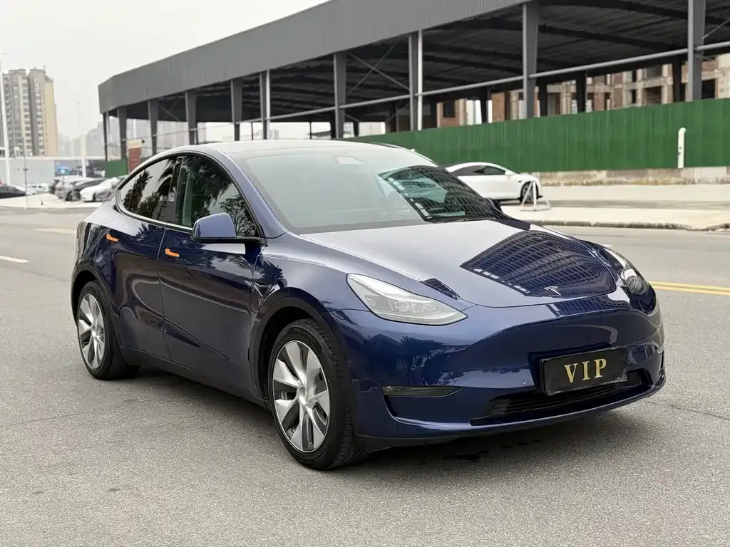 Tesla Model Y — фото 9