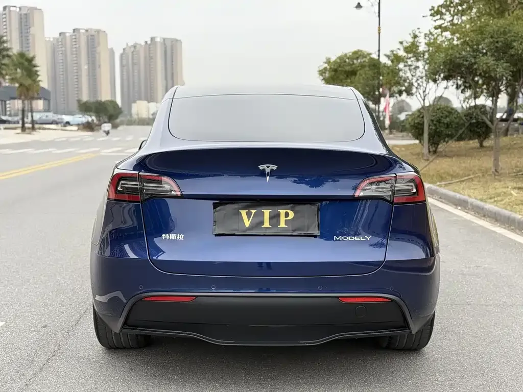 Tesla Model Y — фото 4