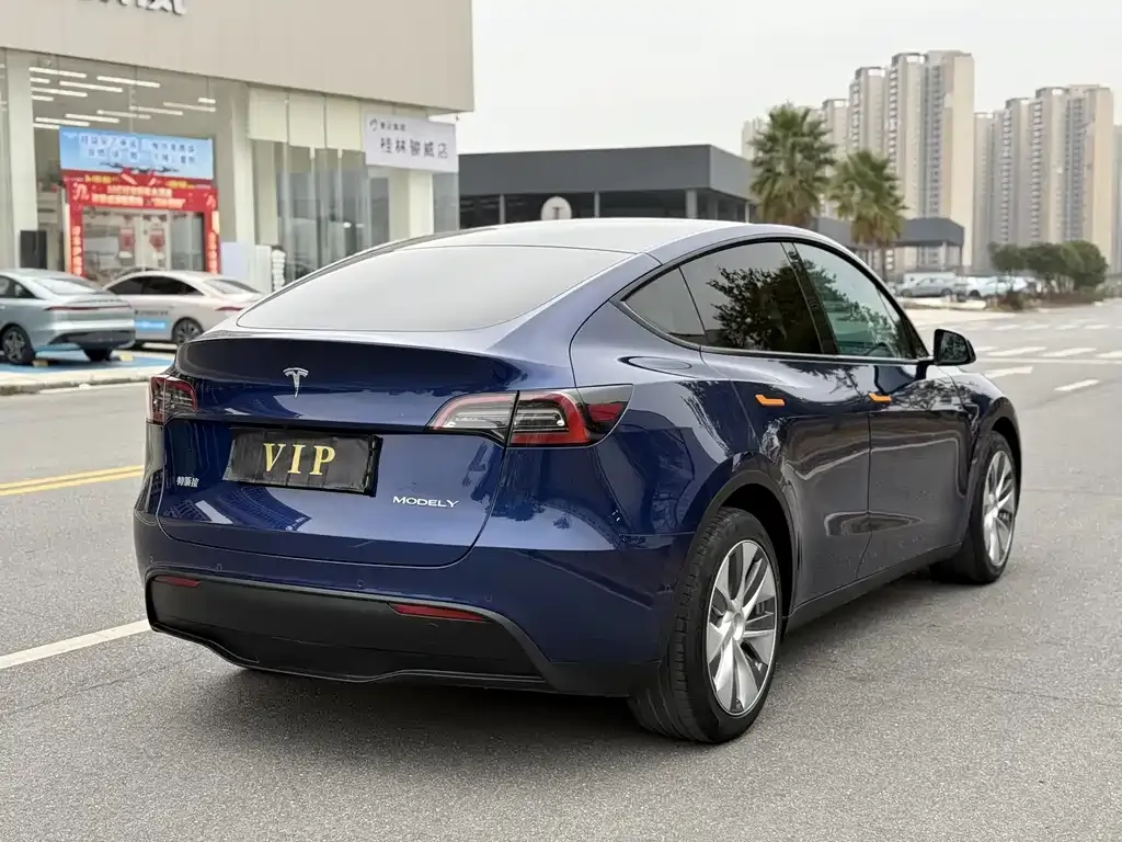 Tesla Model Y — фото 7