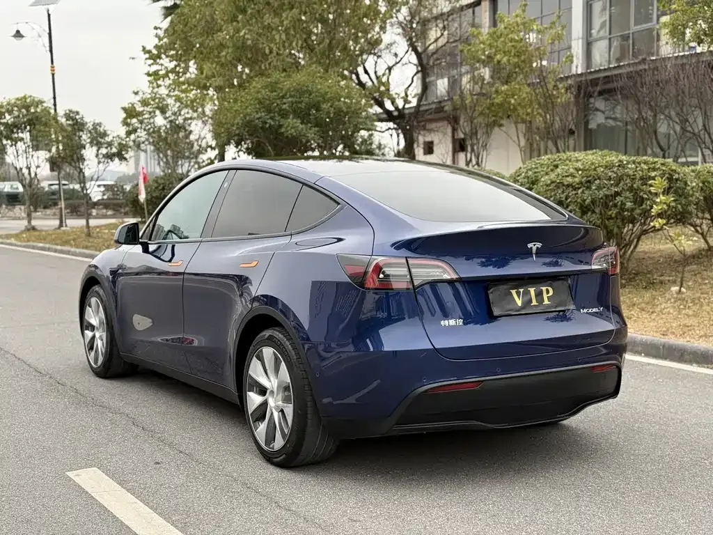 Tesla Model Y — фото 8