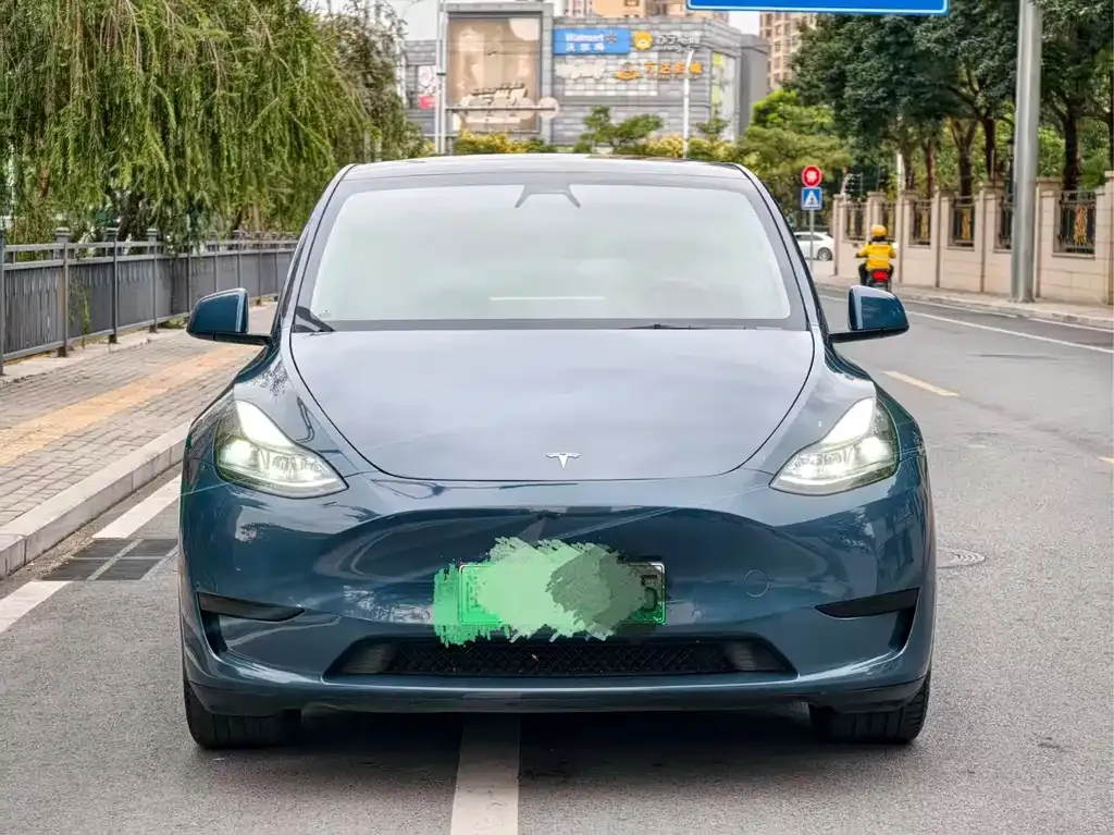 Tesla Model Y 2023 из CN, фото 4