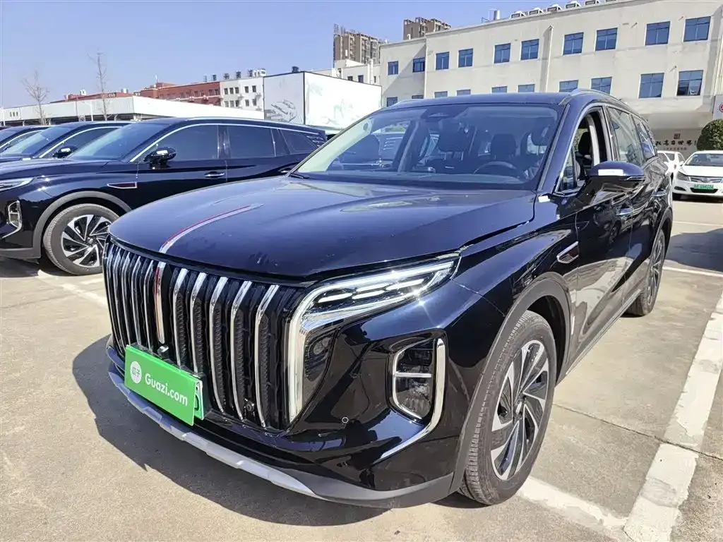 Hongqi HS7 PHEV 2024 из CN, фото 3