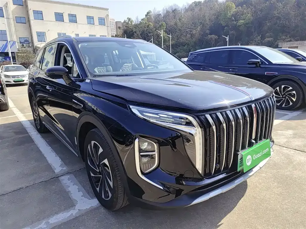 Hongqi HS7 PHEV 2024 из CN, фото 9