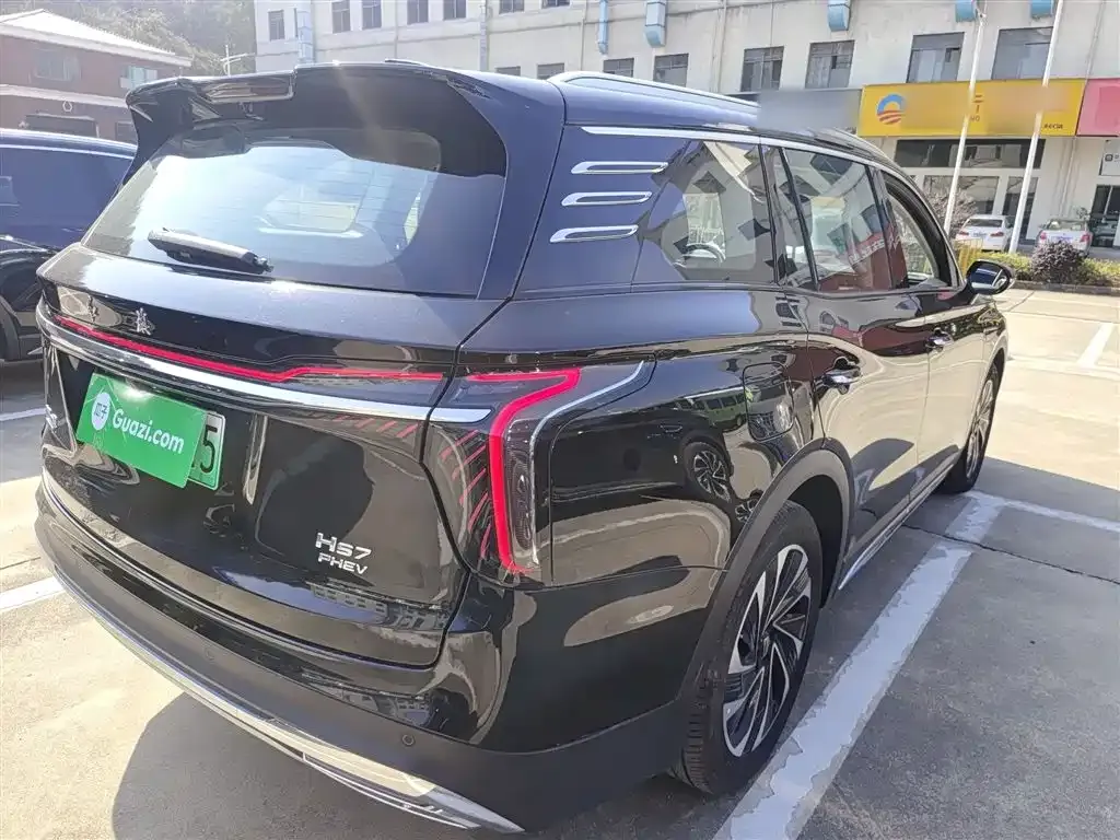 Hongqi HS7 PHEV 2024 из CN, фото 6