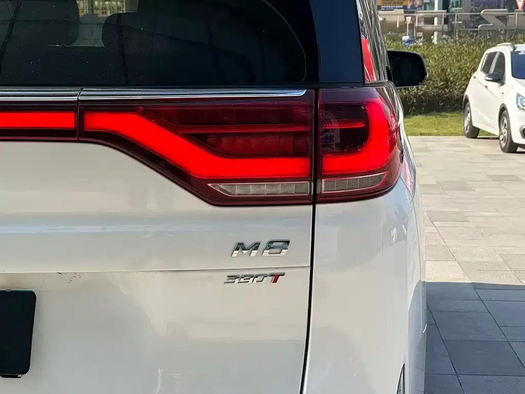 GAC Motor Trumpchi M8 2021 из CN, фото 3