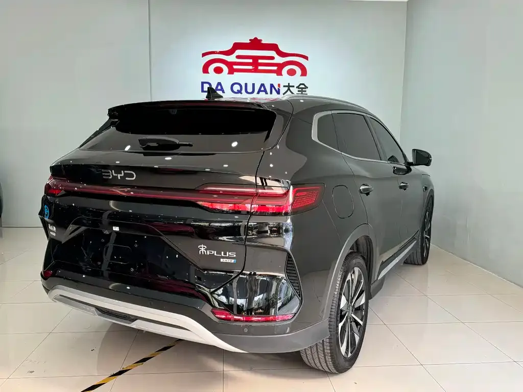 BYD PLUS New Energy — фото 2
