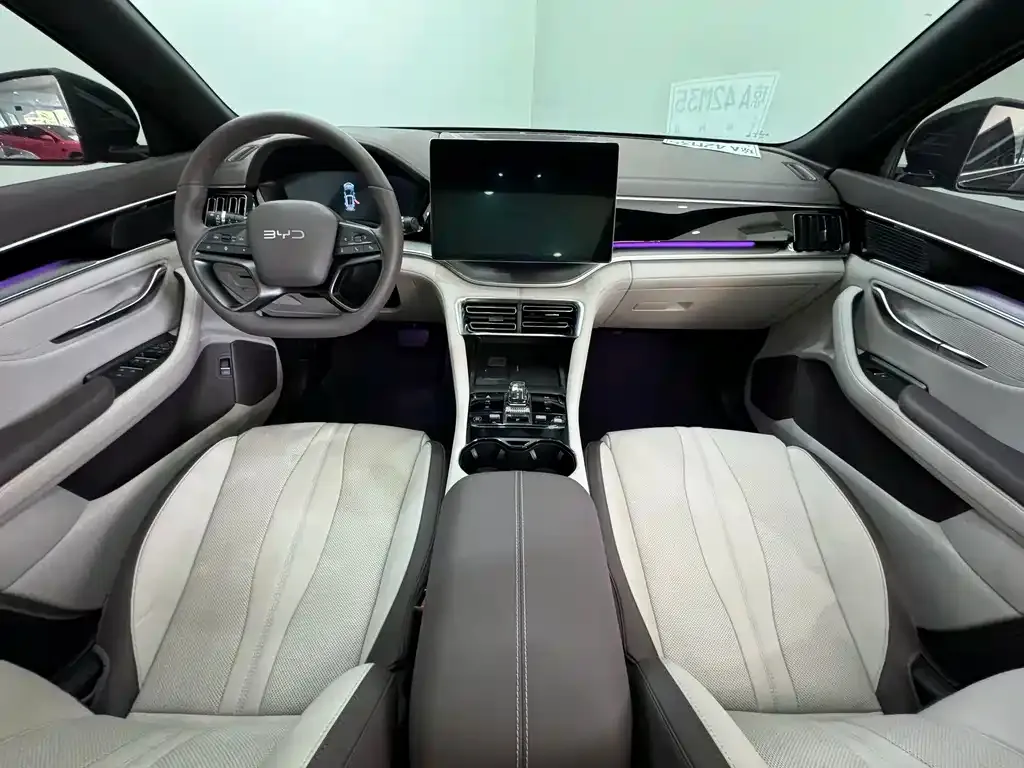 BYD PLUS New Energy — фото 3