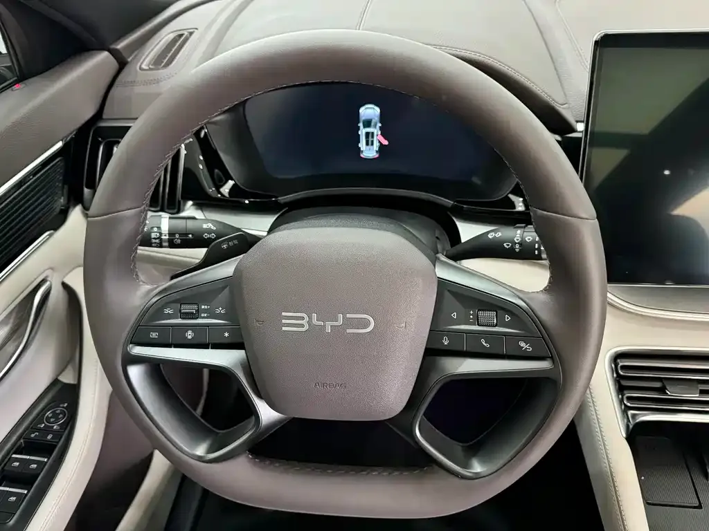 BYD PLUS New Energy — фото 8