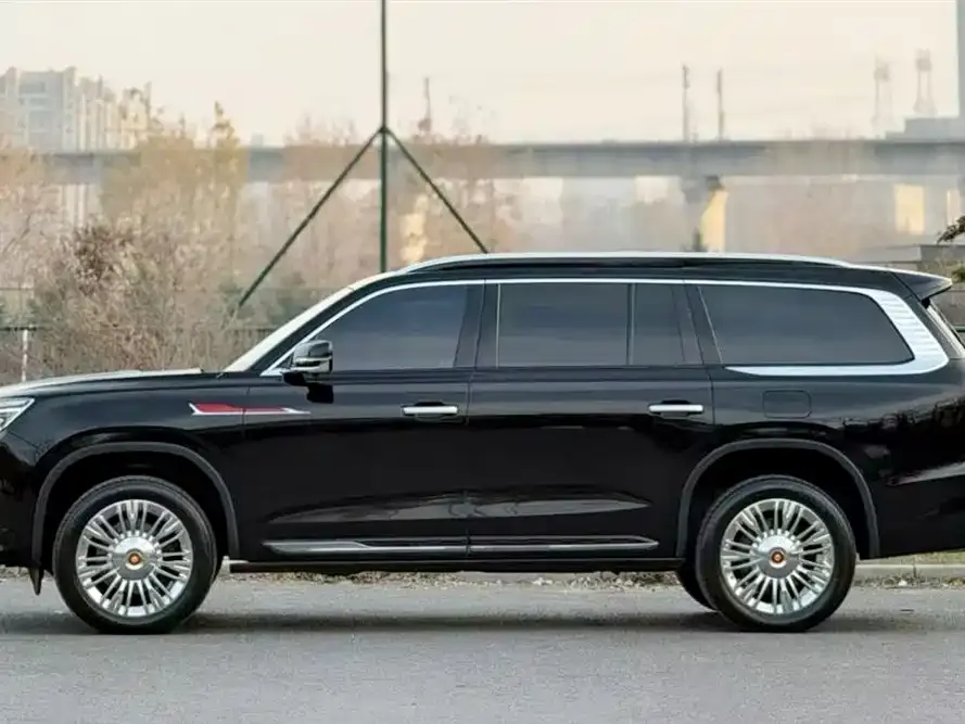 Hongqi Golden Sunflower Guoyao 2022 из CN, фото 8