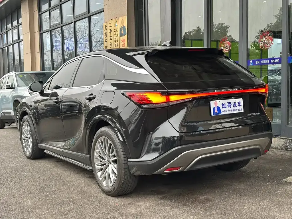 Lexus RX — фото 10