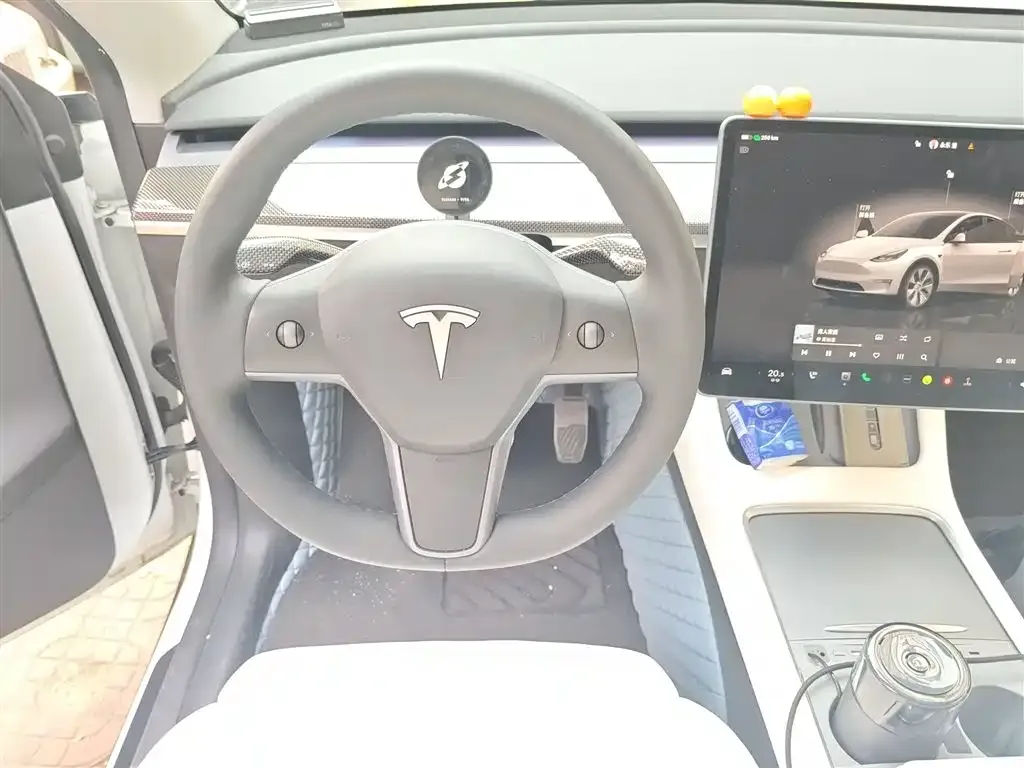 Tesla Model Y 2023 из CN, фото 5