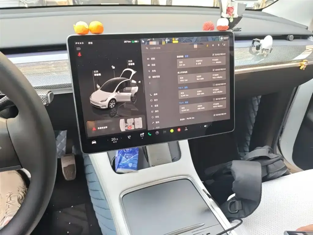 Tesla Model Y 2023 из CN, фото 4